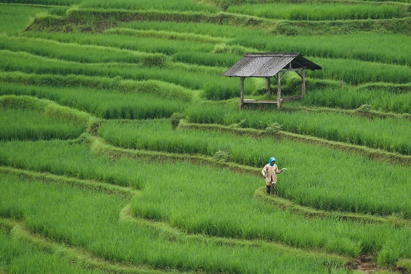 Farm Tour